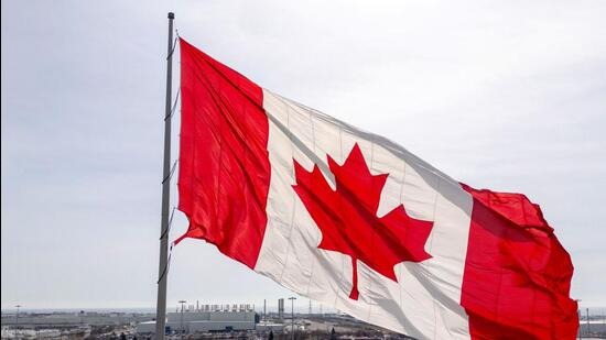 Canada Sees 50% Decline in Study Permits Issued